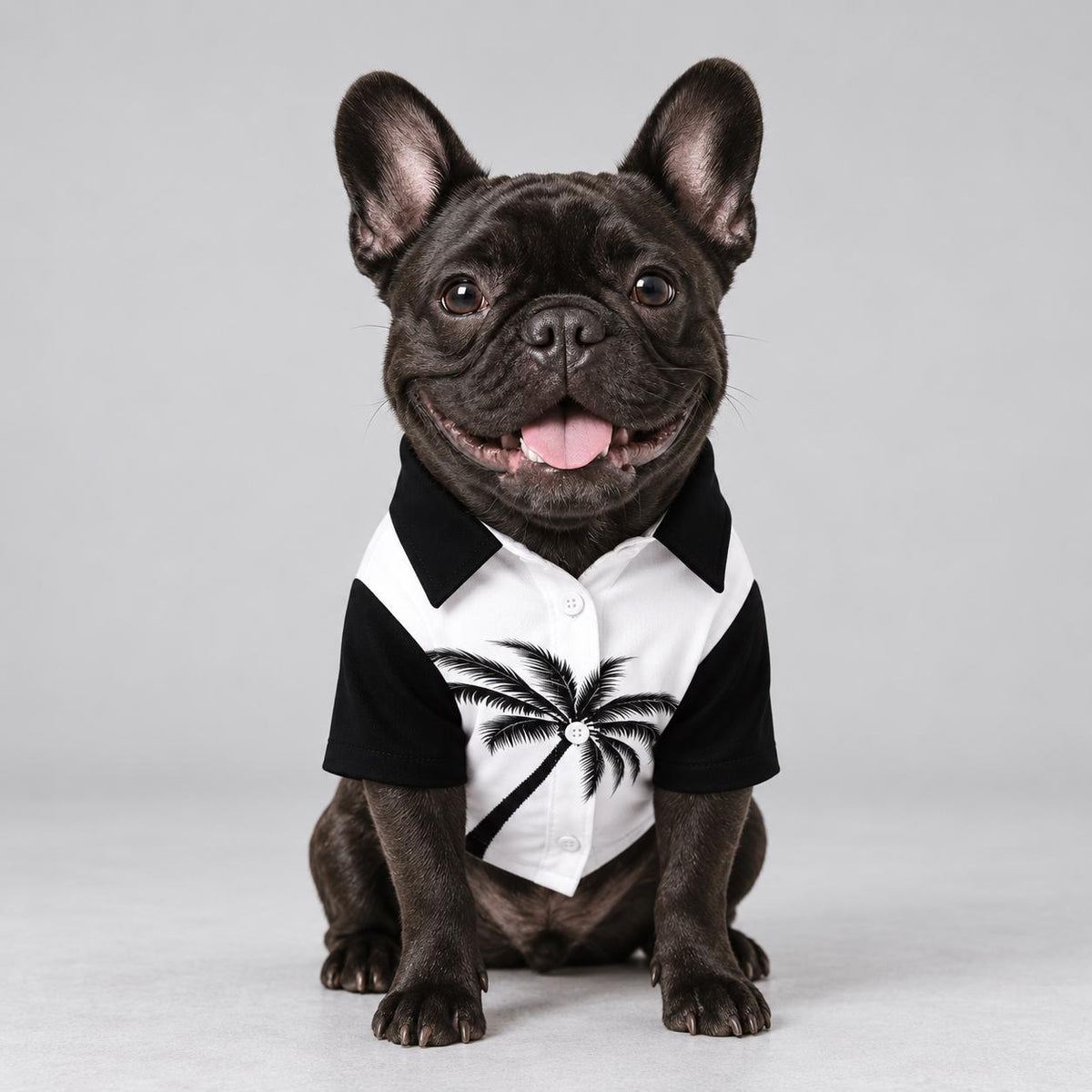 Limited Edition Palm Tree Butler Dog Top – Hawaiian Style Pet Shirt (1 of 50)